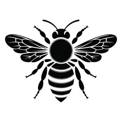 Fototapeta premium Detailed black silhouette of a bee with intricate wings and body