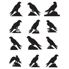 seet of falcon silhouettes collection