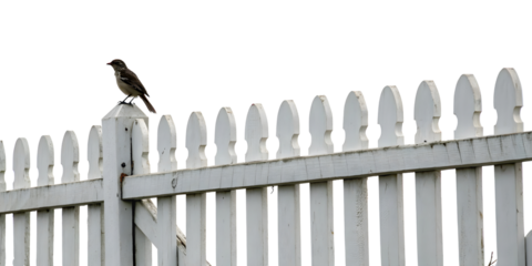 wooden fence with a fence on transparent background