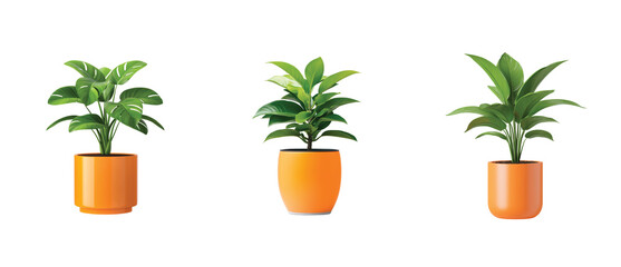 Three vibrant green plants in bright orange pots displayed in a row