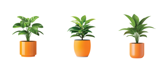 Three vibrant green plants in bright orange pots displayed in a row