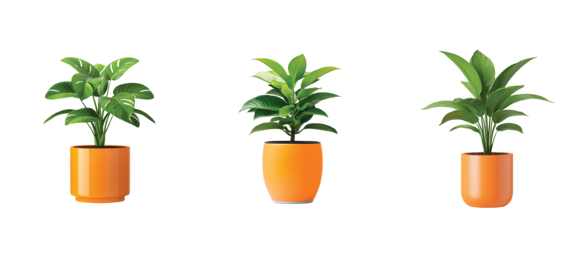 Three vibrant green plants in bright orange pots displayed in a row - Powered by Adobe
