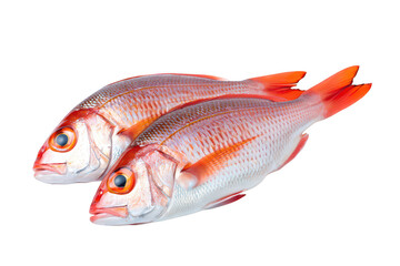 Two whole red snapper fish with orange fins on seafood