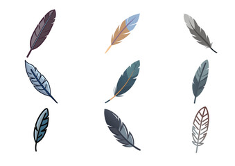 Bird feather Vector, Bird feather Icon Set