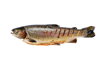 Whole grilled trout with diagonal grill marks on fish food