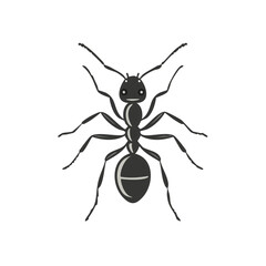 Fototapeta premium Detailed stylized ant illustration with six legs, antennae, and segmented body on a white background