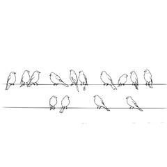 Illustration of a group of birds perched on two wires against a white background in black and white