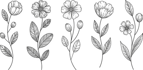 Delicate Line Art Wildflower Vector Set – Hand Drawn Black and White Flowers