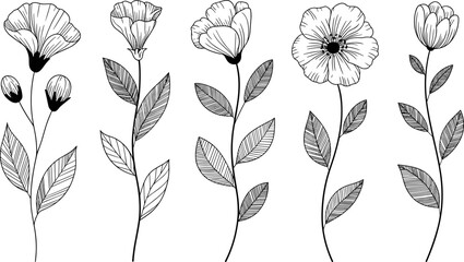 Delicate Line Art Wildflower Vector Set – Hand Drawn Black and White Flowers