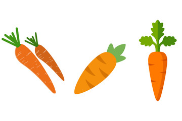 Carrot