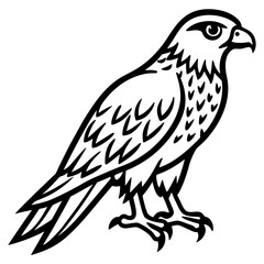 Obraz premium Stylized black and white illustration of a perched falcon