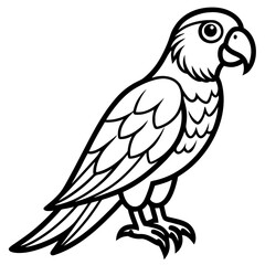 Fototapeta premium Simple outline drawing of a cute cartoon parrot perched and looking right