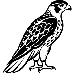 Obraz premium Stylized black and white illustration of a majestic peregrine falcon