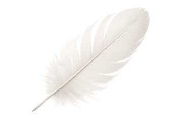 Obraz premium Soft white feather isolated on transparent background