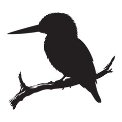 Kingfisher perched on branch vector silhouette, Wildlife animals.