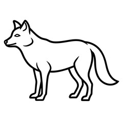 Fototapeta premium vector illustration of a wolf