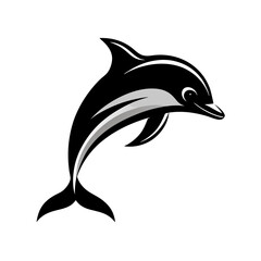 Obraz premium dolphin isolated on white