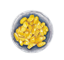 Gnocchi handpainted Illustration – Top View Artistic and colorful food clipart Classic italian dish Perfect for use in menus, cookbooks, restaurant branding, posters, and food-related design