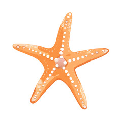 "Ultimate SVG Vector Design Bundle &ndash; Abstract, Geometric, Botanical, Mandala, Minimal, Vintage & Modern Elements for Cricut, Laser Cutting, Sublimation, and DIY Crafts"