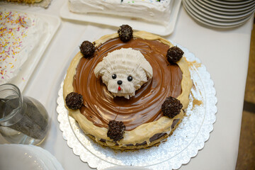 A round chocolate birthday cake decorated with chocolate in various shades and a fondant dog head in the middle