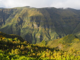 Fototapeta premium Mountain slopes covered with greenery and illuminated by the setting sun, bright green landscape of nature of Madeira Island, Portugal