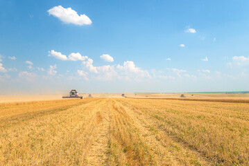 Beautiful landscape with few working combine harvesters in cereal field by sunny day