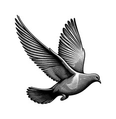 dove or pigeon line drawing - guilloche style (artwork 1)