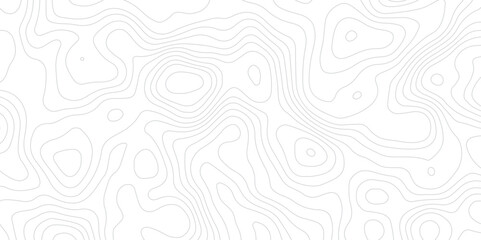 Topography white and gery map background- Vector geographic contour map.
