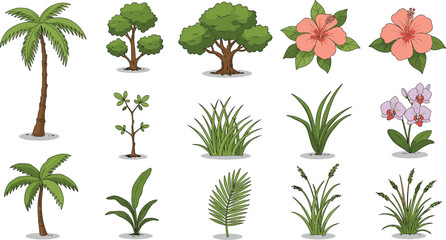 Tropical tree and plant vector set, palm trees, orchids, grasses, cartoon greenery elements for jungle, garden, summer and nature themes.