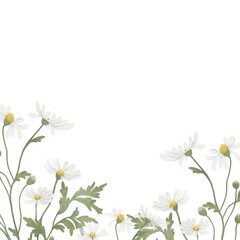 background with chamomile flower. invitation card template