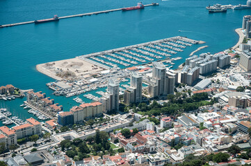 Aerial View of Marina with Yacht Docks and Coastal Urban Development