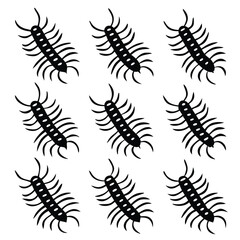 Black centipedes with white dots insect arthropod