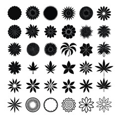 Black floral and leaf motifs abstract botanical