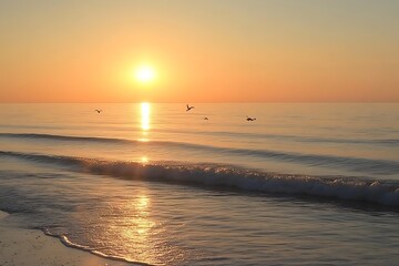 sunrise pods swimming in the Gulf of Mexico at dolphin