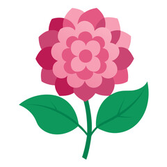 Cute Hortensia with green leaves. Pink rose flower.