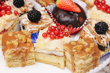 Delicious small cakes with cream. Colorful pastry selection on plate. Topped with berries, nuts and...
