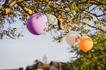 balloons in a tree