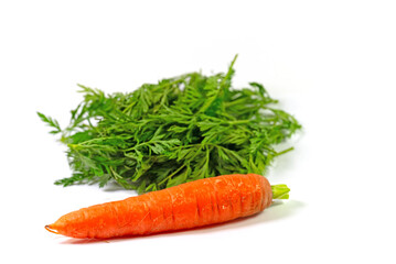 Möhrenkraut und Möhre vor weißem Hintergrund