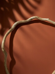 Minimal terracotta background with natural curved driftwood branch and soft shadows. Perfect for text overlay, branding visuals, or social media templates.