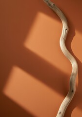 Minimalist wooden branch with strong linear shadow, perfect for natural design mockups or branding concepts.