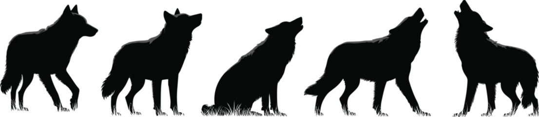 Collection of Wolf Silhouettes in Various Poses, Including Howling and Standing, Ideal for Wildlife, Wilderness, or Nature Concepts, Flat Vector Illustration