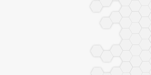 Abstract technology grey geometric hexagon on transparent concept design honeycomb shape vector.	