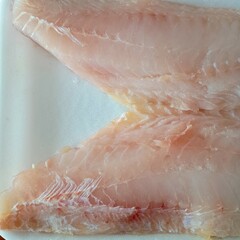 raw fish 