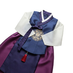 Korean Baby Hanbok Traditional Clothing Purple and Blue Infant Outfit Doljabi Ceremony Attire