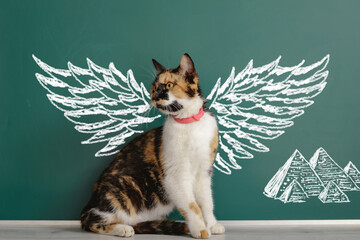 A cat with wings drawn on a chalkboard, like a sacred divine creature
