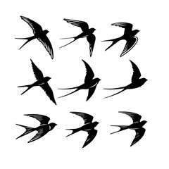 Flying Swallow Bird Silhouettes – Vector Clipart Set for Tattoos, Logos & Designs.