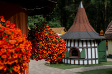 Bright orange hanging flowers and traditional wooden house with tower roof in sunny park setting...