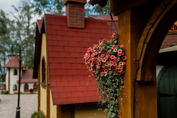 Fototapety na wymiar - Fototapeta24.pl