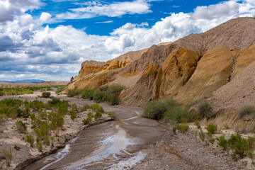 Tornillo Creek (with water) in Big Bend National Park