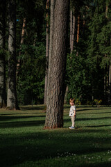 A young child standing next to a tall pine tree in a forest park with green grass and natural...